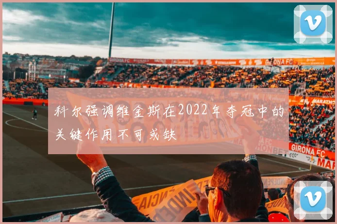 科尔强调维金斯在2022年夺冠中的关键作用不可或缺