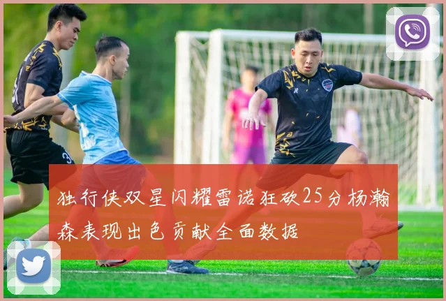 独行侠双星闪耀雷诺狂砍25分杨瀚森表现出色贡献全面数据