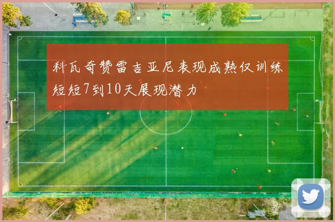 科瓦奇赞雷吉亚尼表现成熟仅训练短短7到10天展现潜力