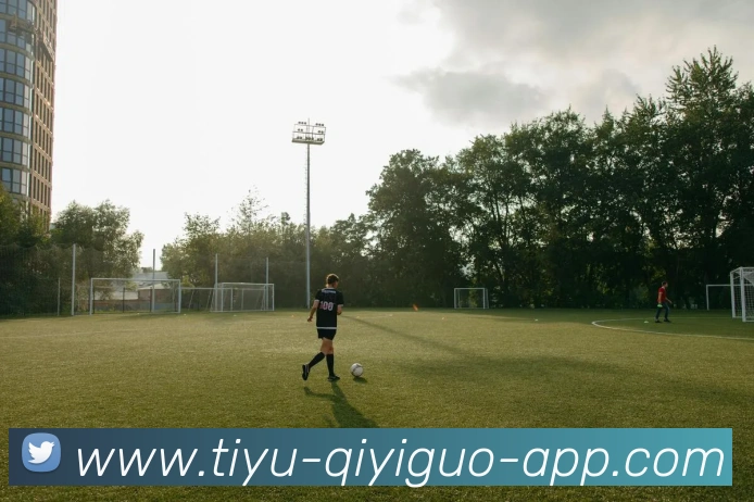 奇异果体育平台生态图