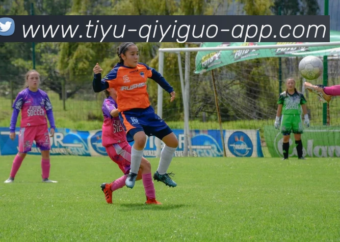 奇异果体育全站App